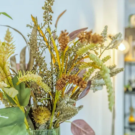 El Oasis De San Lorenzo *