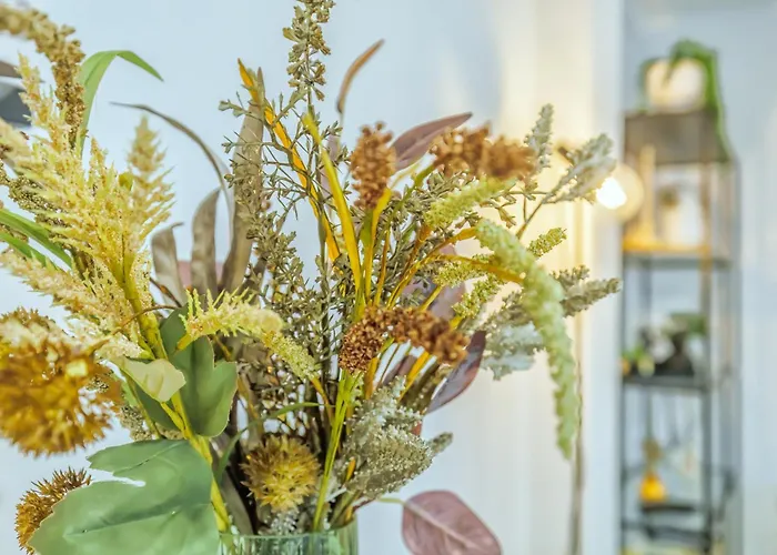 El Oasis De San Lorenzo *